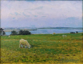 Pasące się owce, Osterby, Skagen
